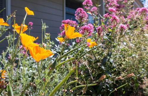 West End Neighborhood Cottage - Foto 7