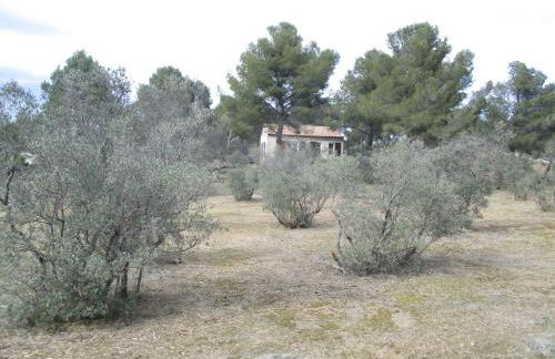 Mazet pleine nature - Foto 1