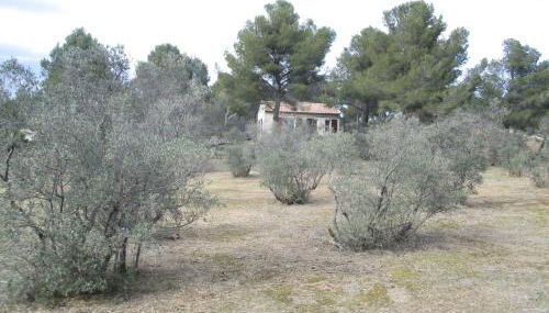 Mazet pleine nature - Foto 1, Garden view