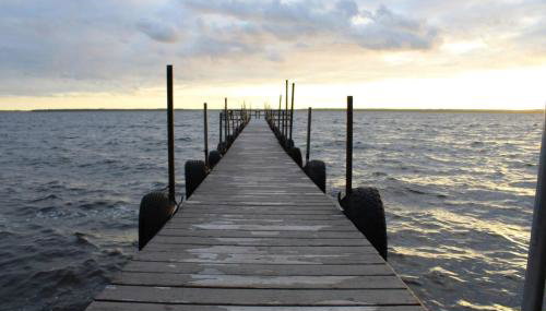 Cabin 1 - Cozy cabin 10 feet from the shore - Foto 4