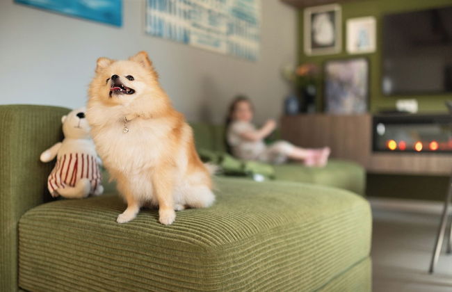 House 756 Mainz: Families, Friends & Business – Sauna, Parking, Near Messe & Airport - Foto 75