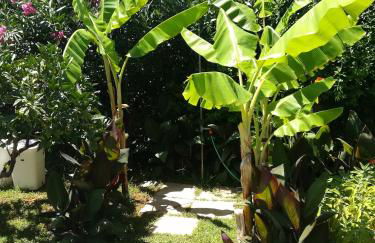 Stoupa's Paradise - Foto 14