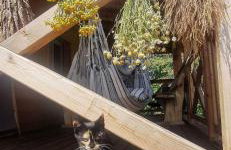 Dom Na Wsi ,, Koszelówka " - Foto 31