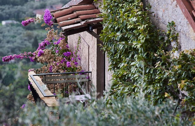 Peralta Tuscany - Foto 63