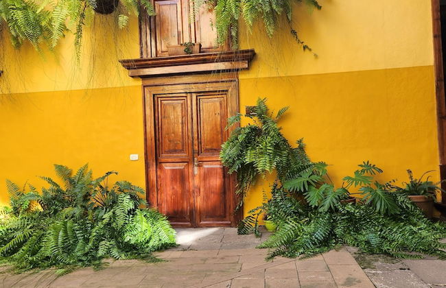 Casa Salvia - Rural Holiday Home - Foto 63