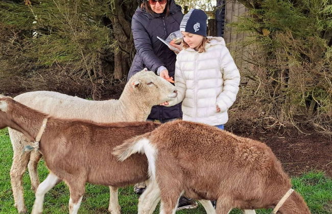 Jilly Park Farm Interactive Experience - Foto 40