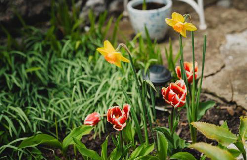 Swallow Cottage, Bakewell - Photo 24