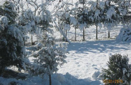 Lavanda farm apartmani - Foto 118