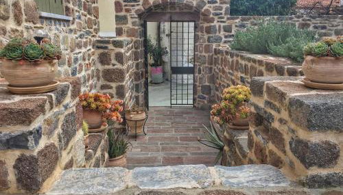 Lithos Residence Poros - Foto 5, Garden