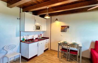 Apartamentos Spa Casco Histórico de Isla - ALOJATEISLA - Foto 74