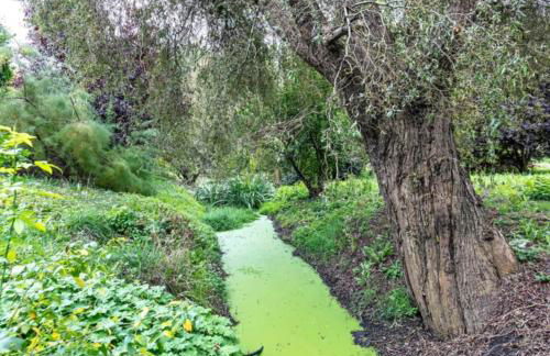 Natur an Metropole - Foto 26