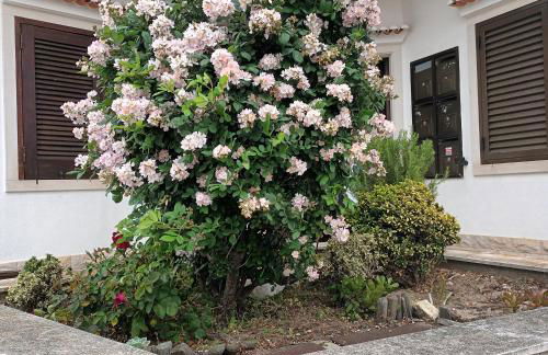 A Casa na Foz - West is the Best ! - Foto 32