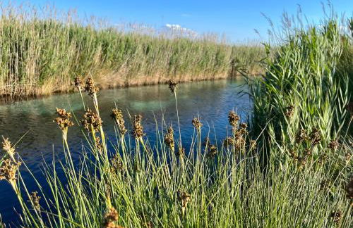 La villetta di Spiaggiabella - Foto 31