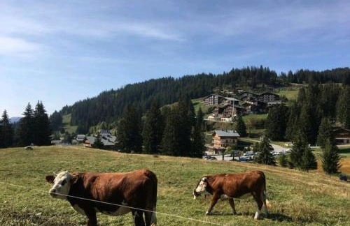 La cabane d'en haut - Foto 12