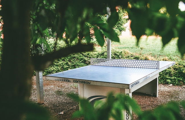 Terres de France - Domaine de Claire Rive - Foto 19