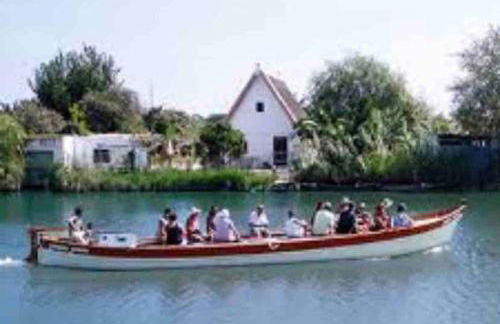 Ruzafa experience Oceanografic ciencias - Photo 52