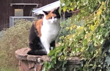 Ferienwohnung Maria - Foto 2