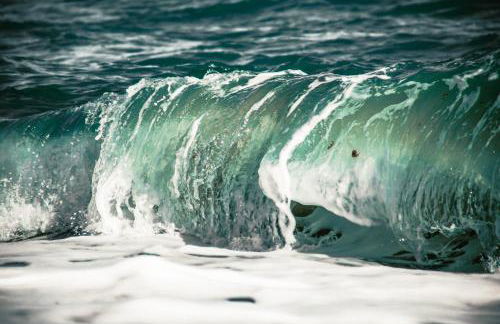 CN-340 Suites - Photo 18