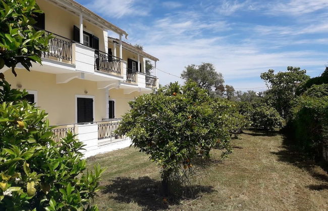 Amelia's Garden - Foto 16