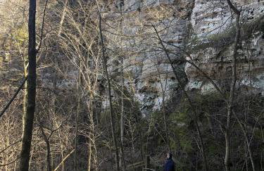 Romantic Cabin w Hot Tub Near Carbondale - Foto 34