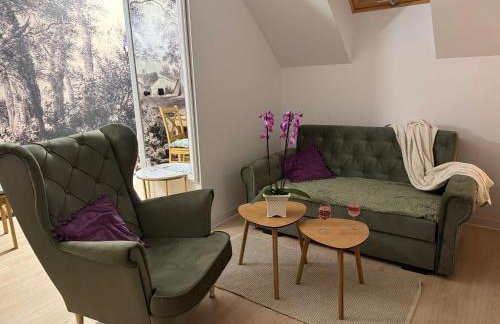 Apartament Lawendowe Zdroje - Foto 6