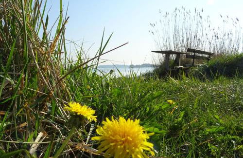 Appartement Werft & Meer - Foto 37