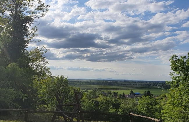 Bogdan - Countryside With hot tub - R2 - Foto 2