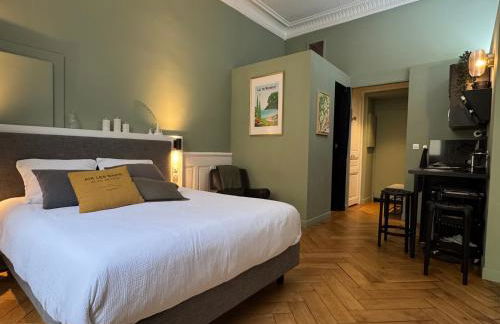 Studio de charme rénové en centre-ville, animaux admis - FR-1-555-123 - Foto 1