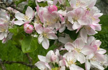 Ferienwohnung Schloss Heldritt - Foto 16