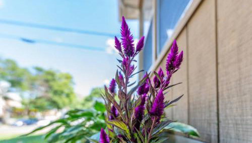 Entire house 3 bedroom Twin Cities, Specious, Entire House, AC - Foto 3