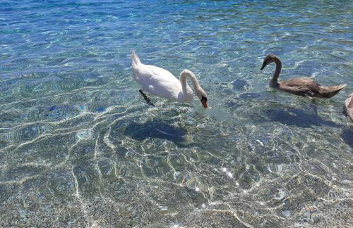 Andros Eco Home - Foto 35