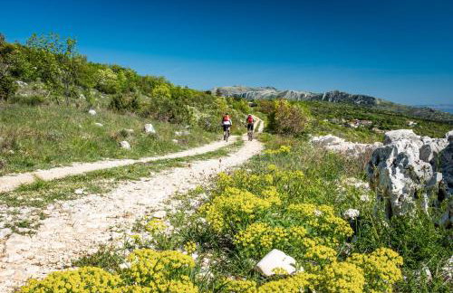 Apartment Labin 23 - Foto 18