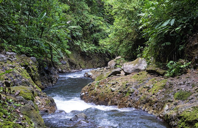 Oski Lodge - Foto 57