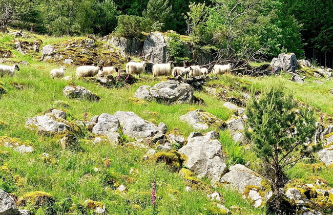 Holiday Home in ValevÃ¥g - Foto 21