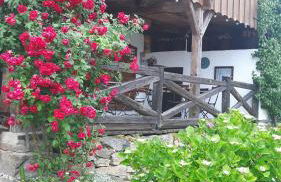 Ferienhaus Rachelblick - Foto 27