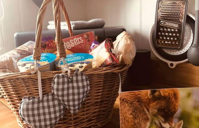 A Beautiful, Unique Lodge, Made for two - Photo 65