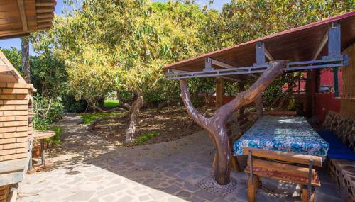 Villa with Pool and sea views in Banana Plantation by CanaryScape - Foto 5