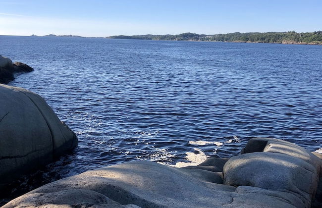 Toldgaarden Gjestegaard - Foto 45