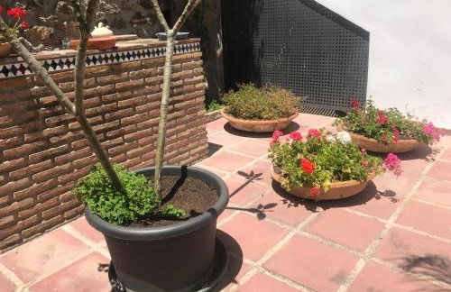 Apartamentos Turísticos La Mundial - Foto 51