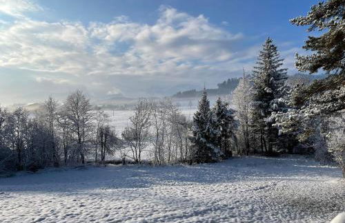 Häusle in der Tannenmühle - Foto 38