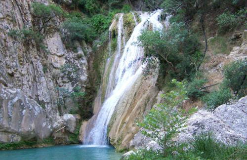 Old Olive house - Foto 11