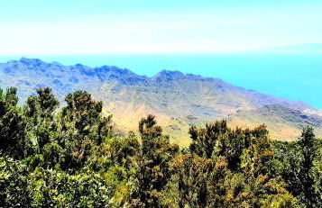 Villa ARTE - Foto 67