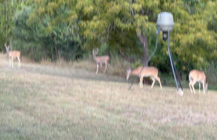 Gorgeous 10 Acre Estate POOL HOT TUB GAME ROOM - Foto 2