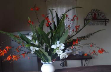 Chalé anjico - Foto 20