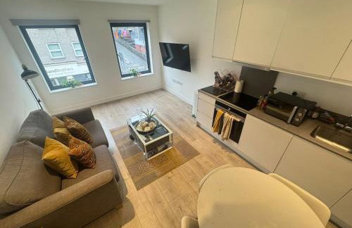 JVL Nice Cosy 1BR Flat Purley, London - Foto 9