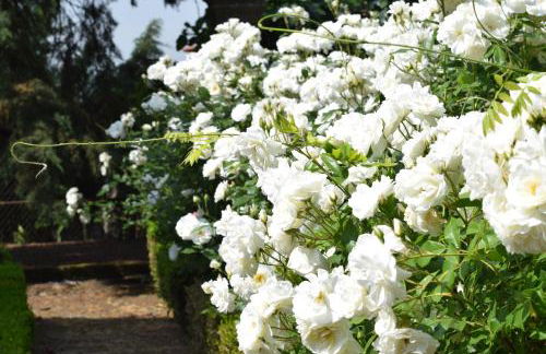 Villa Margaridi - Foto 21