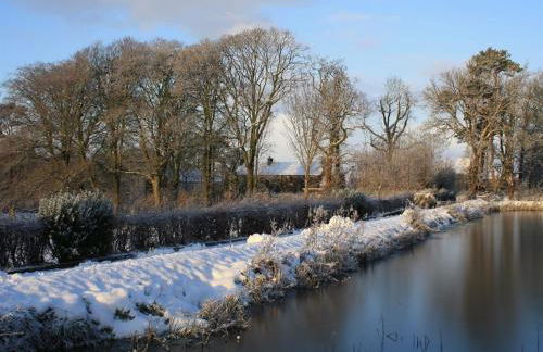 Ballylagan Organic Farm - Foto 28