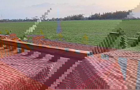 Ayvalık Sural Çiftliği Since 1899 - Foto 11