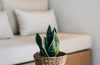 Above Blue Villas - Foto 12