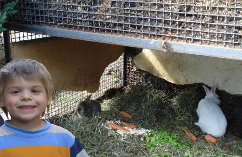 Amarone Classica - Foto 22